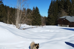Praz sur arly 2025 ter