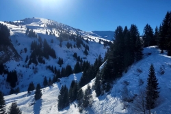 Praz sur arly 2025 quatro