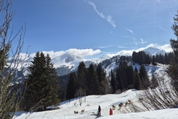 Raquettes à avoriaz mars