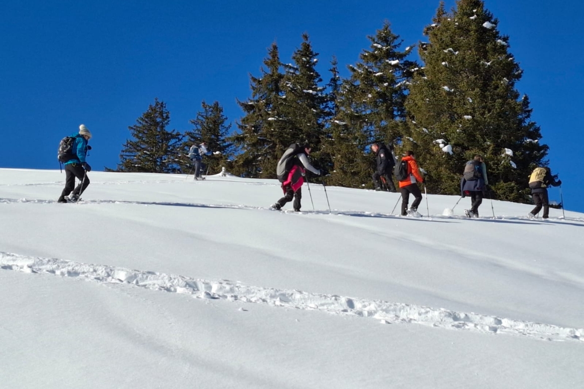 Chatel 2025 ter