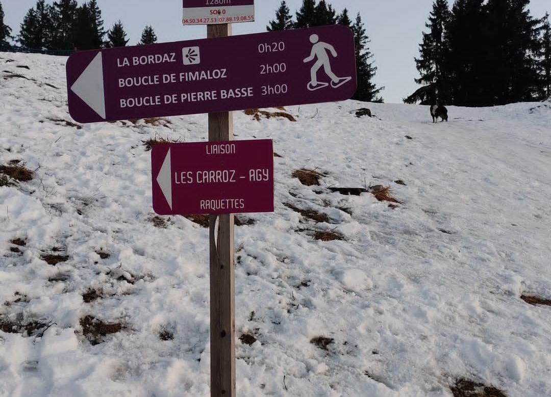 Praz sur arly 2025 quatro